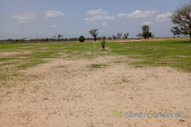 terrain-de-169-hectare-vers-tassette-big-2