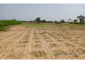 terrain-de-175-hectare-vers-tassette-small-0