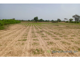 Terrain de 1,75 hectare vers Tassette