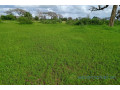 terrain-de-187-hectare-vers-tassette-small-1