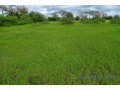 terrain-de-187-hectare-vers-tassette-small-2