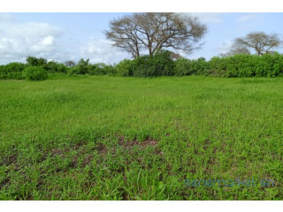 Terrain de 1,87 hectare vers Tassette