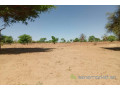 terrain-de-191-hectare-vers-tassette-small-0