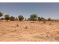 terrain-de-191-hectare-vers-tassette-small-1