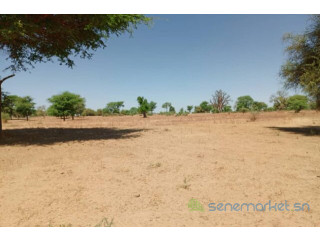 Terrain de 1,91 hectare vers Tassette