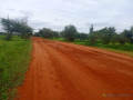 terrain-de-195-hectare-vers-dalla-ngabou-small-1