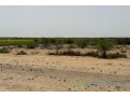terrain-de-10-hectares-vers-diama-small-0