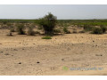 terrain-de-10-hectares-vers-diama-small-1