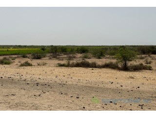 Terrain de 10 hectares vers Diama