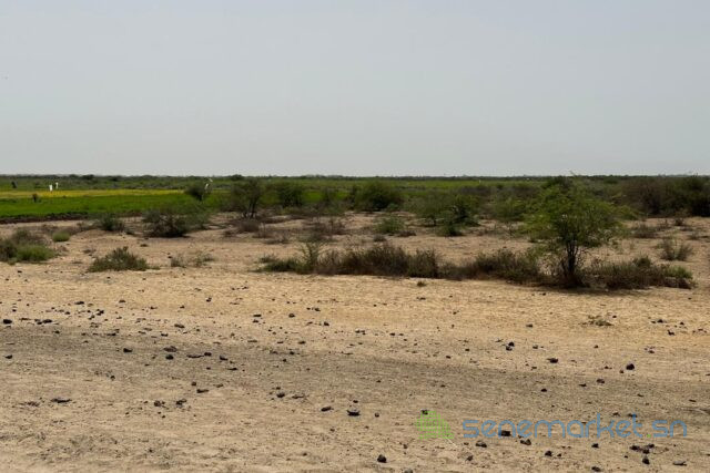 terrain-de-10-hectares-vers-diama-big-0
