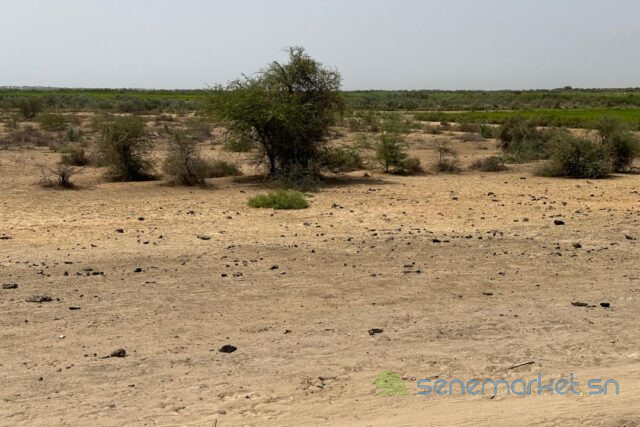 terrain-de-10-hectares-vers-diama-big-1