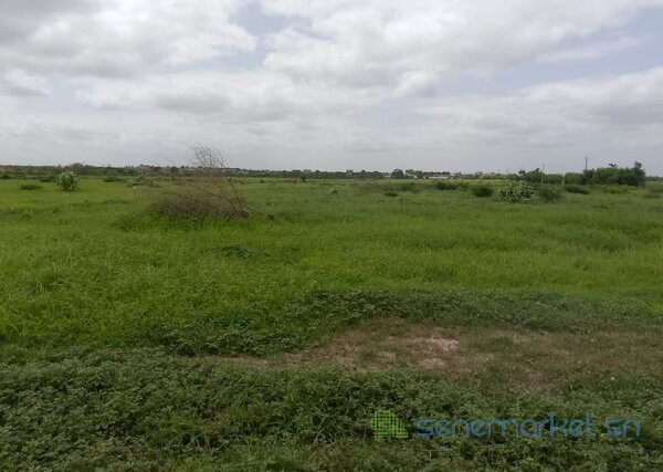 terrain-de-10-hectares-vers-keur-moussa-big-1