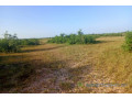 terrain-de-10-hectares-vers-tassette-small-0
