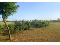 terrain-de-10-hectares-vers-tassette-small-1