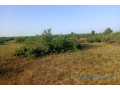 terrain-de-10-hectares-vers-tassette-small-2