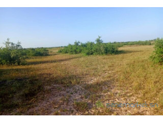 Terrain de 10 hectares vers Tassette