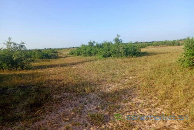 terrain-de-10-hectares-vers-tassette-big-0