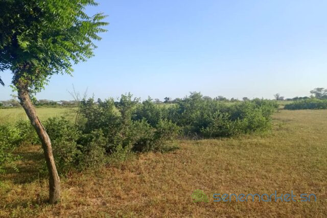 terrain-de-10-hectares-vers-tassette-big-1