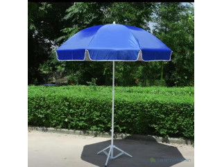 Parasol B1