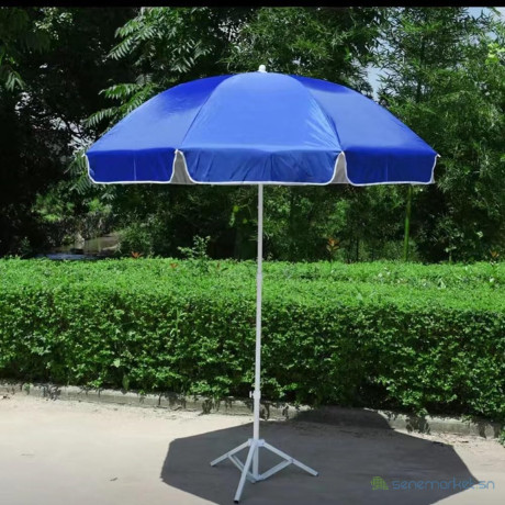 parasol-b1-big-0