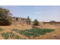 terrains-de-1000-metres-carres-a-vendre-a-nguerigne-senegal-small-1