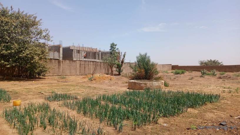 terrains-de-1000-metres-carres-a-vendre-a-nguerigne-senegal-big-1