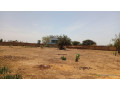 terrain-de-2000-metres-carres-a-vendre-a-nguerigne-senegal-small-2