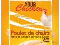vente-de-poulets-de-chairs-small-0