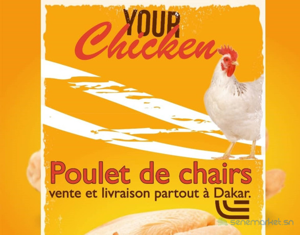 vente-de-poulets-de-chairs-big-0