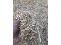 foin-de-maralfalfa-ngone-bu-wow-sac-3000f-small-2