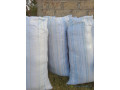 foin-de-maralfalfa-ngone-bu-wow-sac-3000f-small-1
