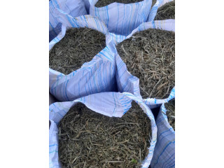 Foin de maralfalfa ngone bu wow sac 3000f