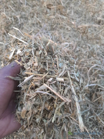 foin-de-maralfalfa-ngone-bu-wow-sac-3000f-big-2