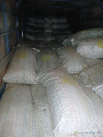 foin-de-maralfalfa-ngone-bu-wow-sac-3000f-big-3