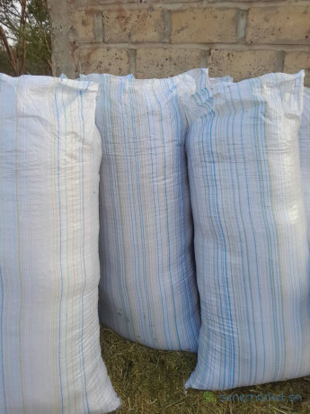 foin-de-maralfalfa-ngone-bu-wow-sac-3000f-big-1