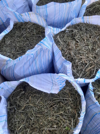 foin-de-maralfalfa-ngone-bu-wow-sac-3000f-big-0