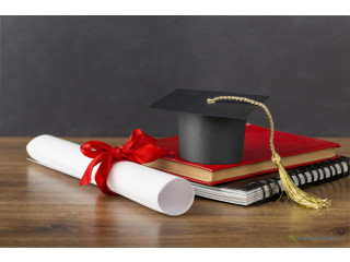 Formations BTS, Licence & Master En Ligne ou en Présentiel !