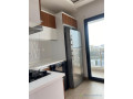 appartement-meuble-f2-a-louer-au-point-e-small-2