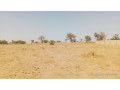 terrain-de-300-metres-carres-a-vendre-a-malicounda-fandane-small-2