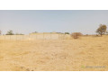 terrain-de-300-metres-carres-a-vendre-a-malicounda-fandane-small-0
