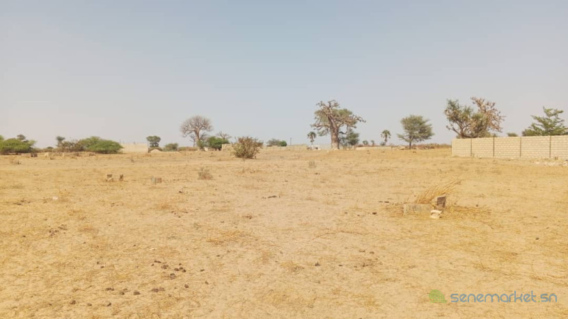 terrain-de-300-metres-carres-a-vendre-a-malicounda-fandane-big-2