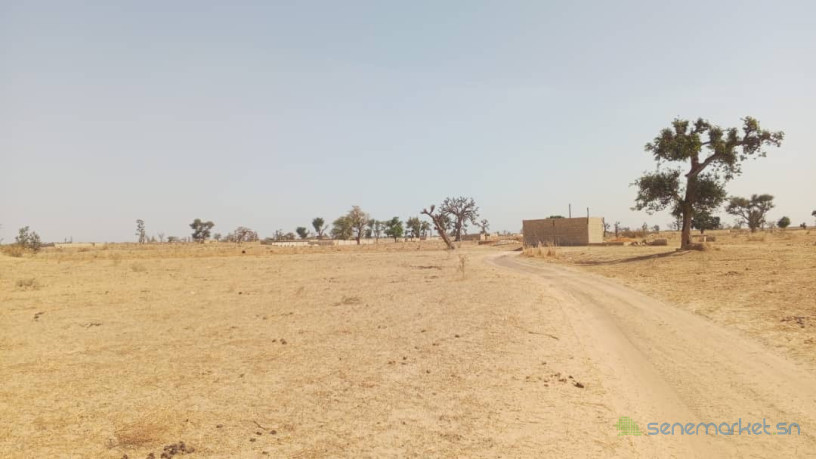 terrain-de-300-metres-carres-a-vendre-a-malicounda-fandane-big-1