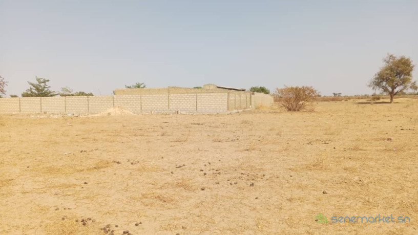 terrain-de-300-metres-carres-a-vendre-a-malicounda-fandane-big-0