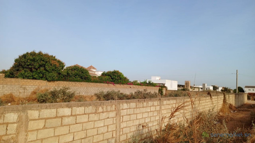 terrain-de-1000-metres-carres-a-vendre-a-saly-center-big-1