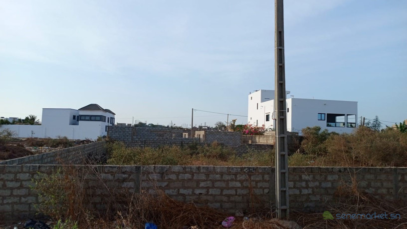terrain-de-1000-metres-carres-a-vendre-a-saly-center-big-2
