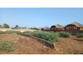 terrain-de-1500-metres-carres-a-vendre-a-saly-center-small-3