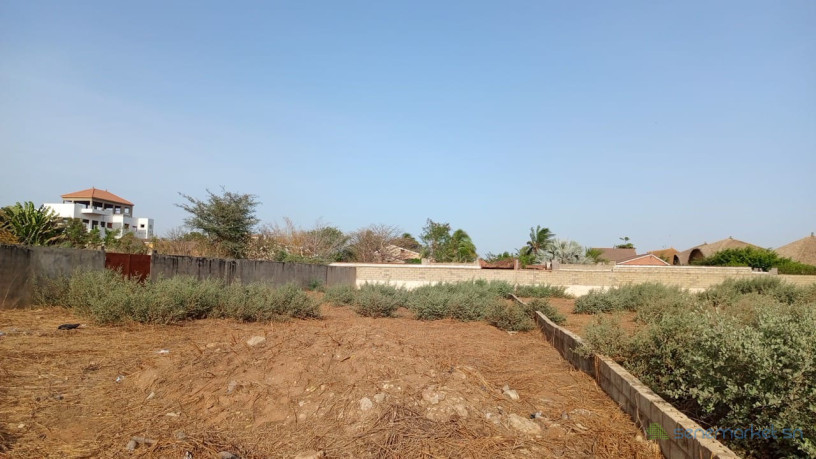 terrain-de-1500-metres-carres-a-vendre-a-saly-center-big-0