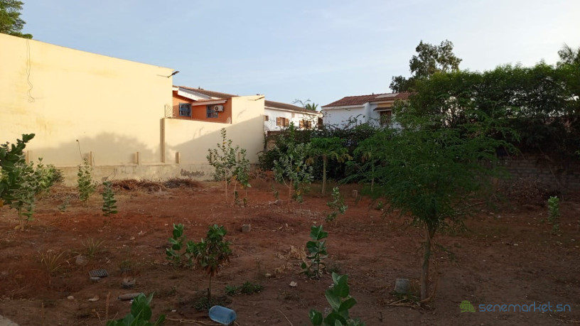 terrain-de-850-m2-a-vendre-a-saly-senegal-big-1
