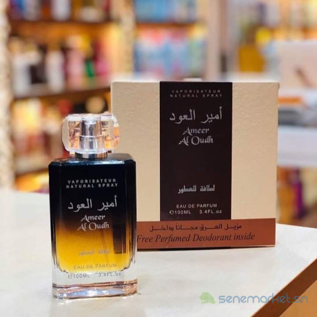parfum-ameer-al-oud-big-2