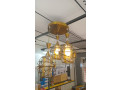 lustre-3-branches-design-en-differentes-couleurs-et-modeles-small-2